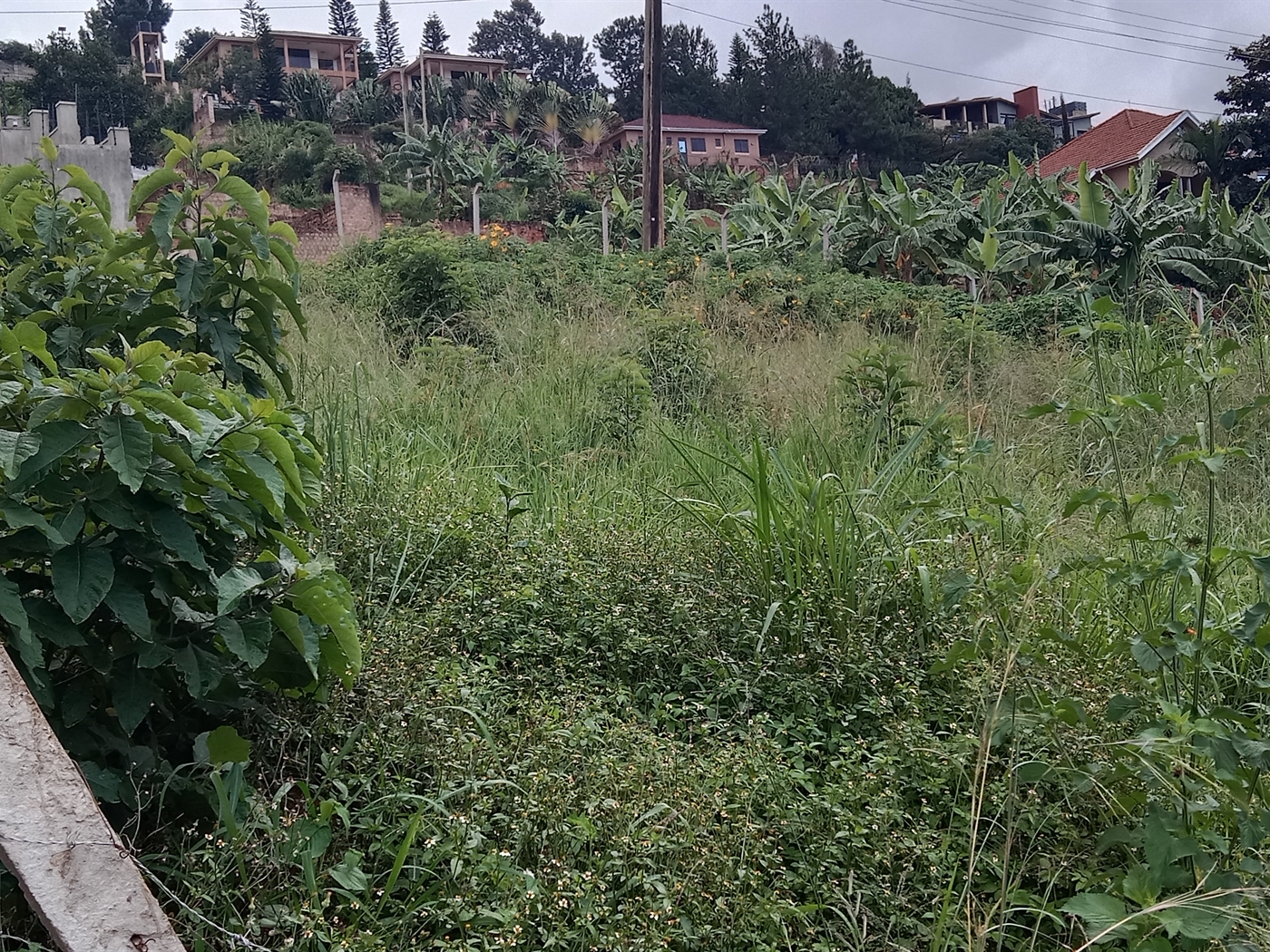 Residential Land for sale in Lubowa Wakiso