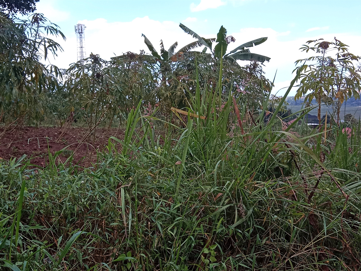 Residential Land for sale in Lubowa Wakiso