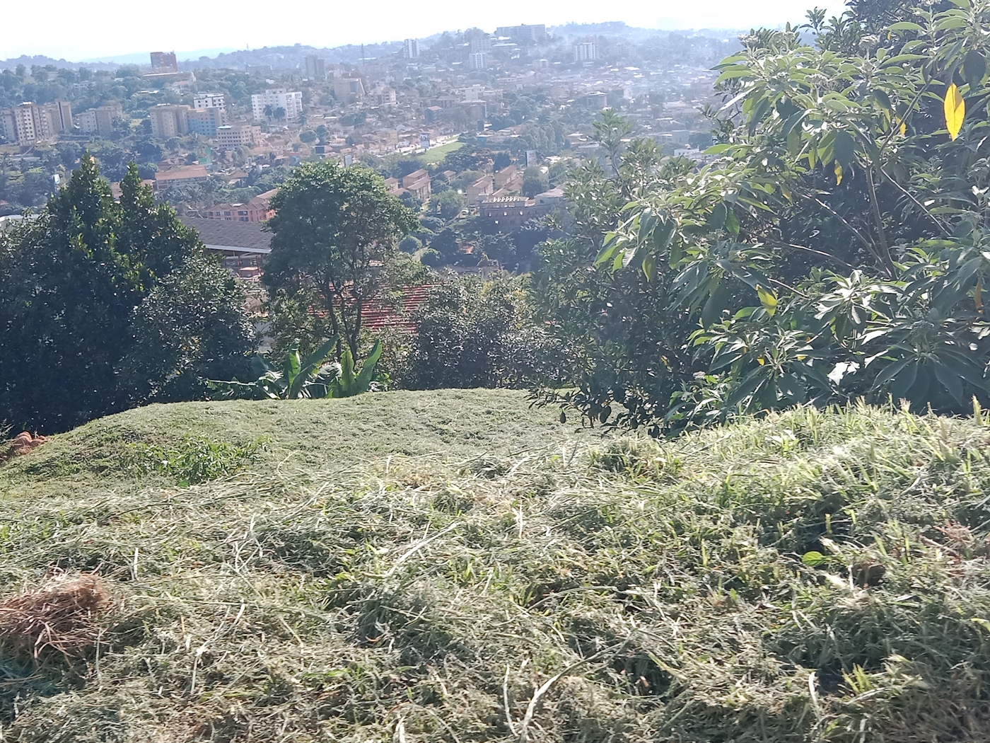 Residential Land for sale in Naguru Kampala