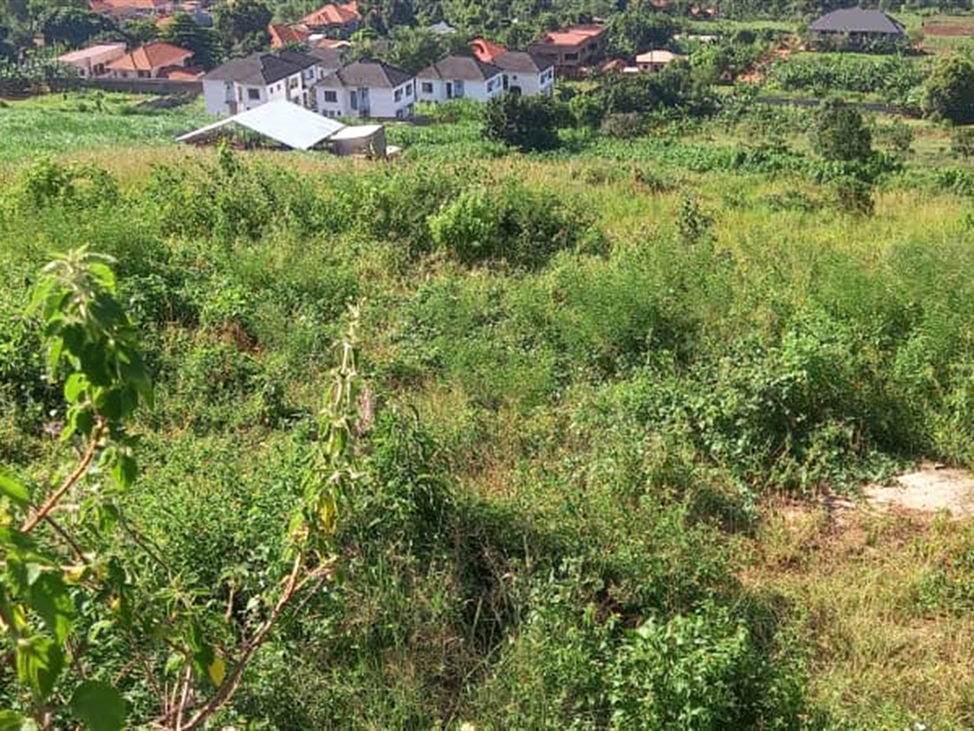 Commercial Land for sale in Bwebajja Wakiso