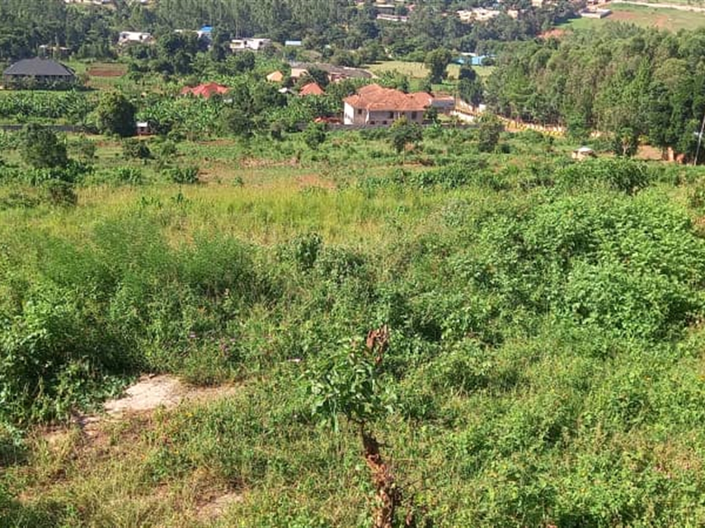 Commercial Land for sale in Bwebajja Wakiso