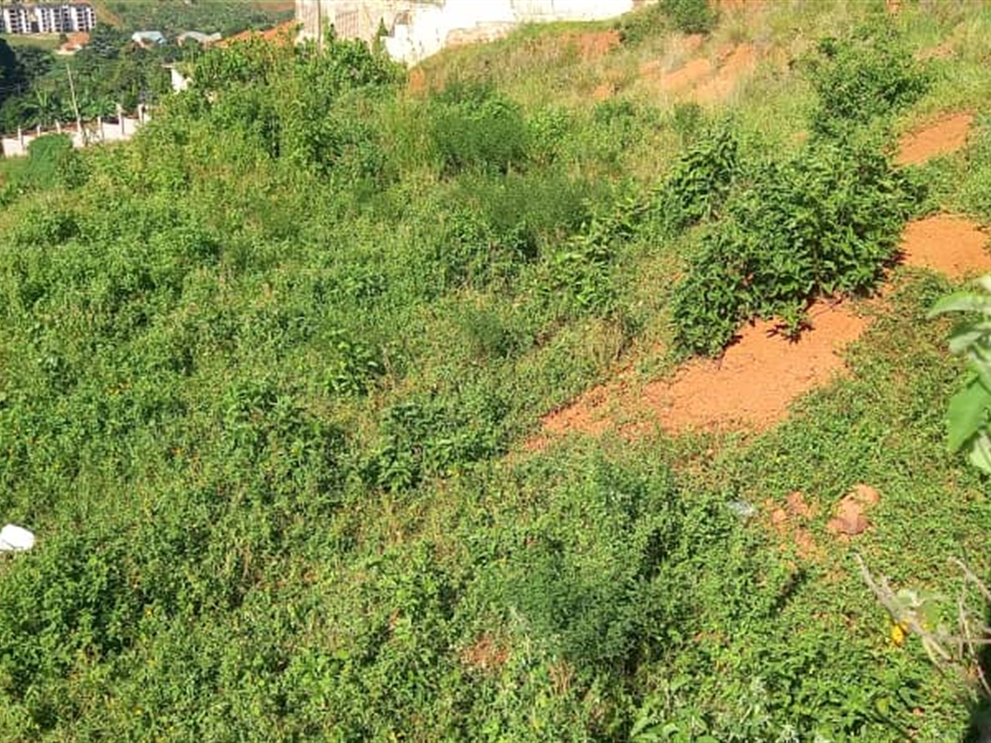 Commercial Land for sale in Bwebajja Wakiso