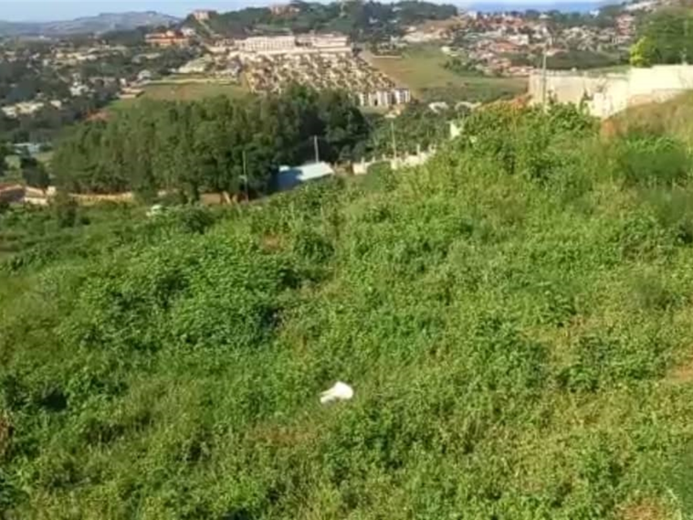 Commercial Land for sale in Bwebajja Wakiso