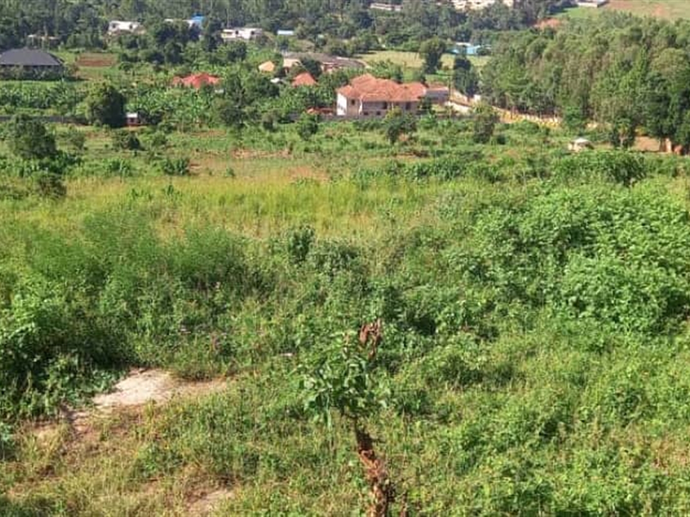 Commercial Land for sale in Bwebajja Wakiso