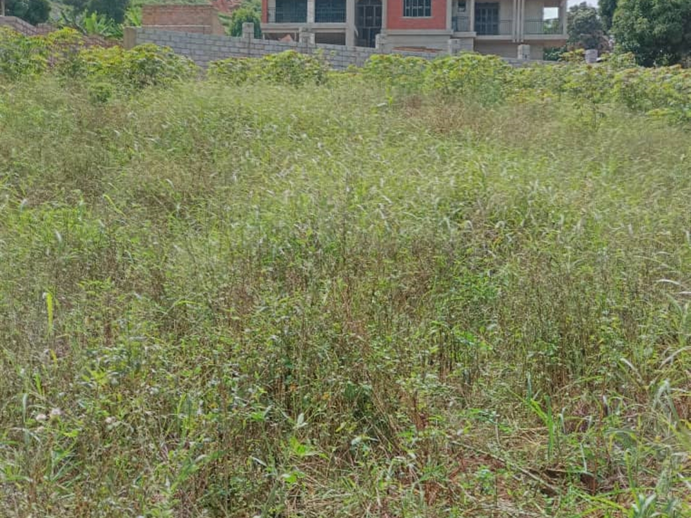 Commercial Land for sale in Kigo Wakiso