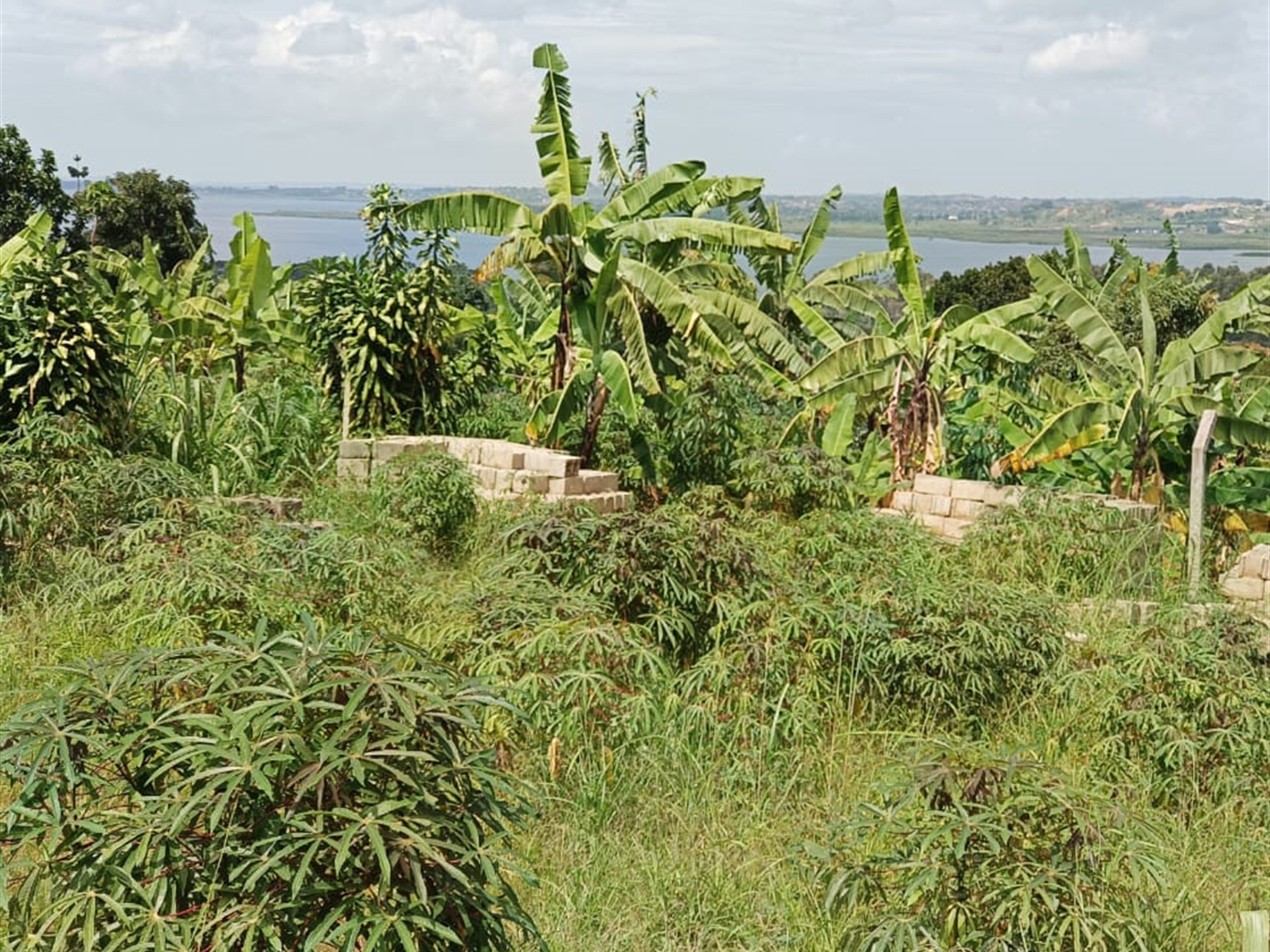 Commercial Land for sale in Kigo Wakiso