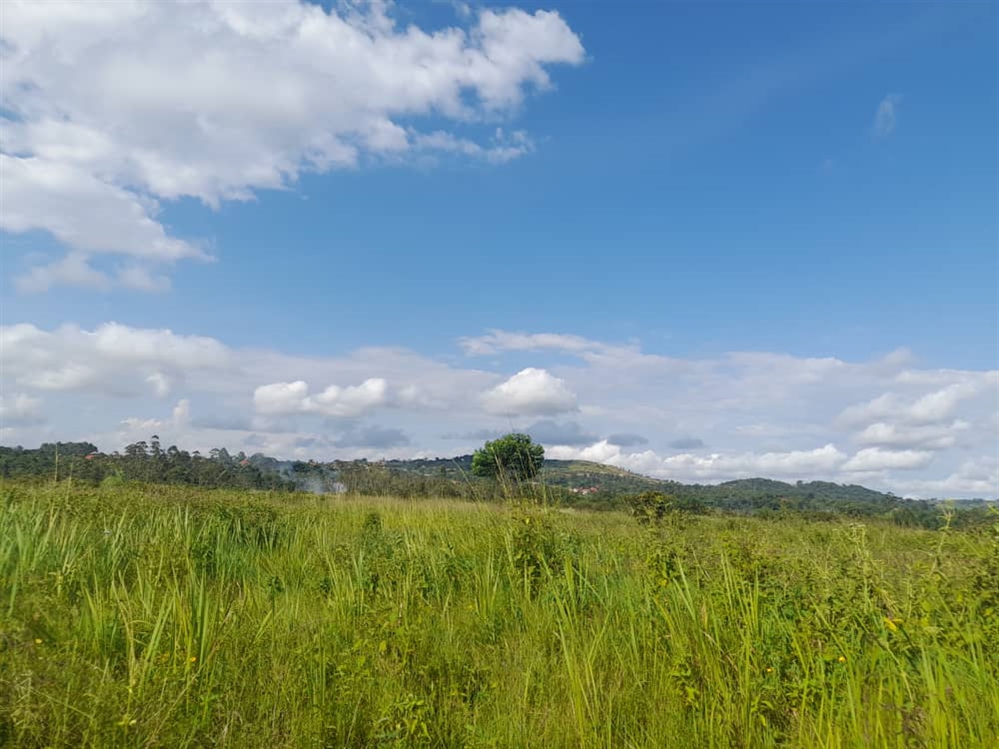 Commercial Land for sale in Jjandira Mpigi