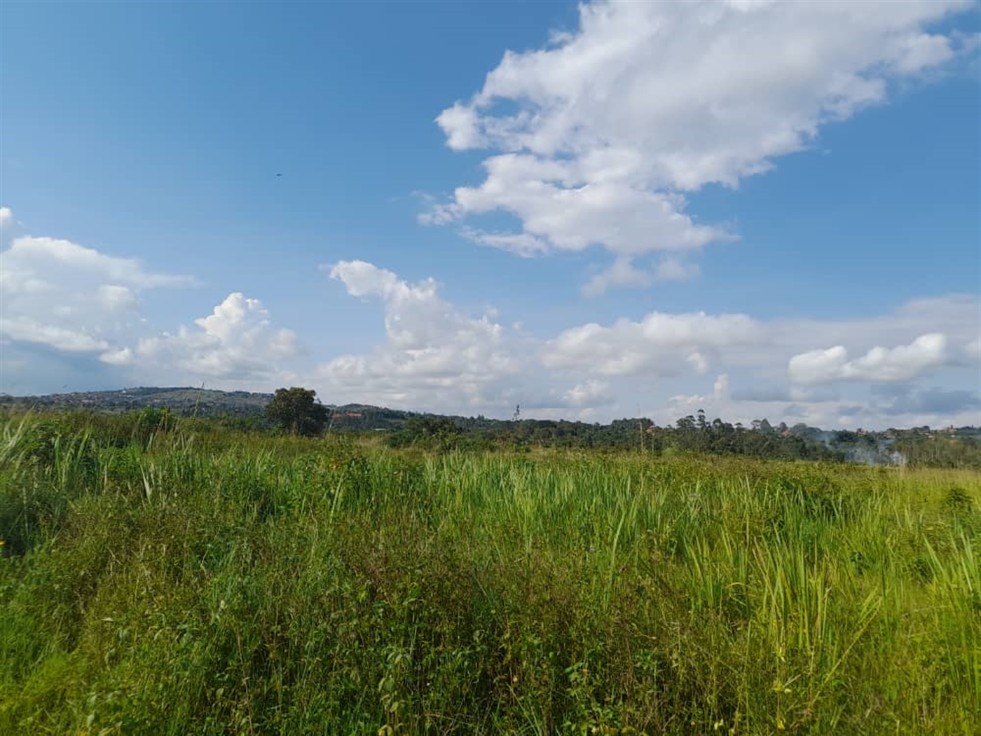 Commercial Land for sale in Jjandira Mpigi