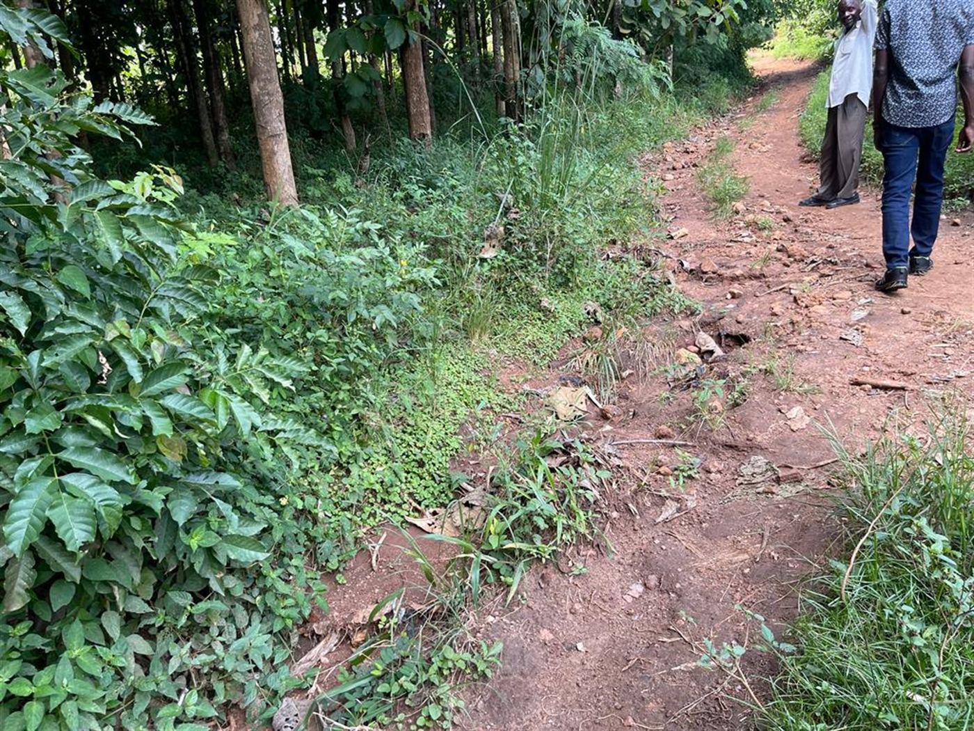 Commercial Land for sale in Bombo Luweero