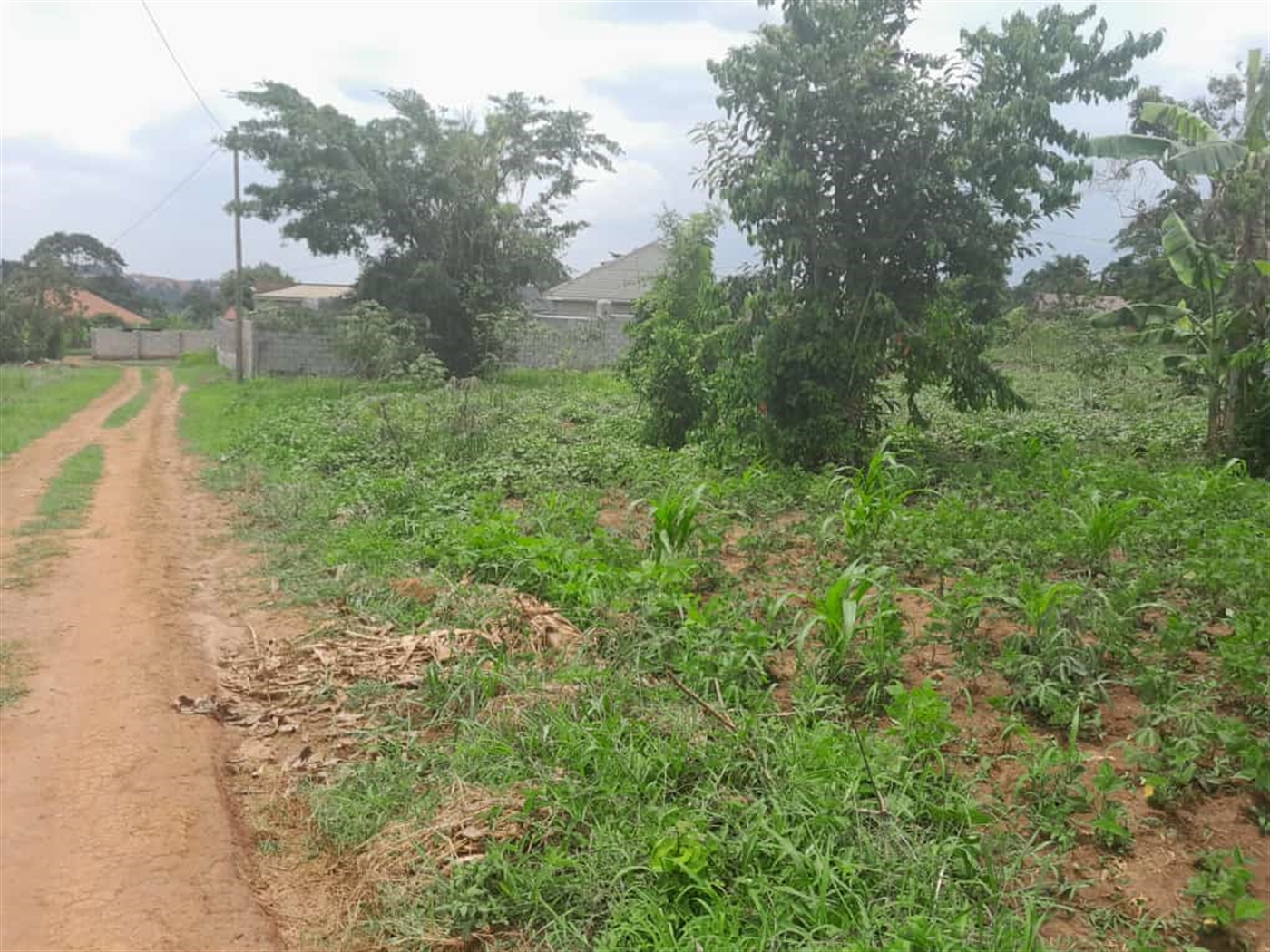 Residential Land for sale in Buwagga Wakiso