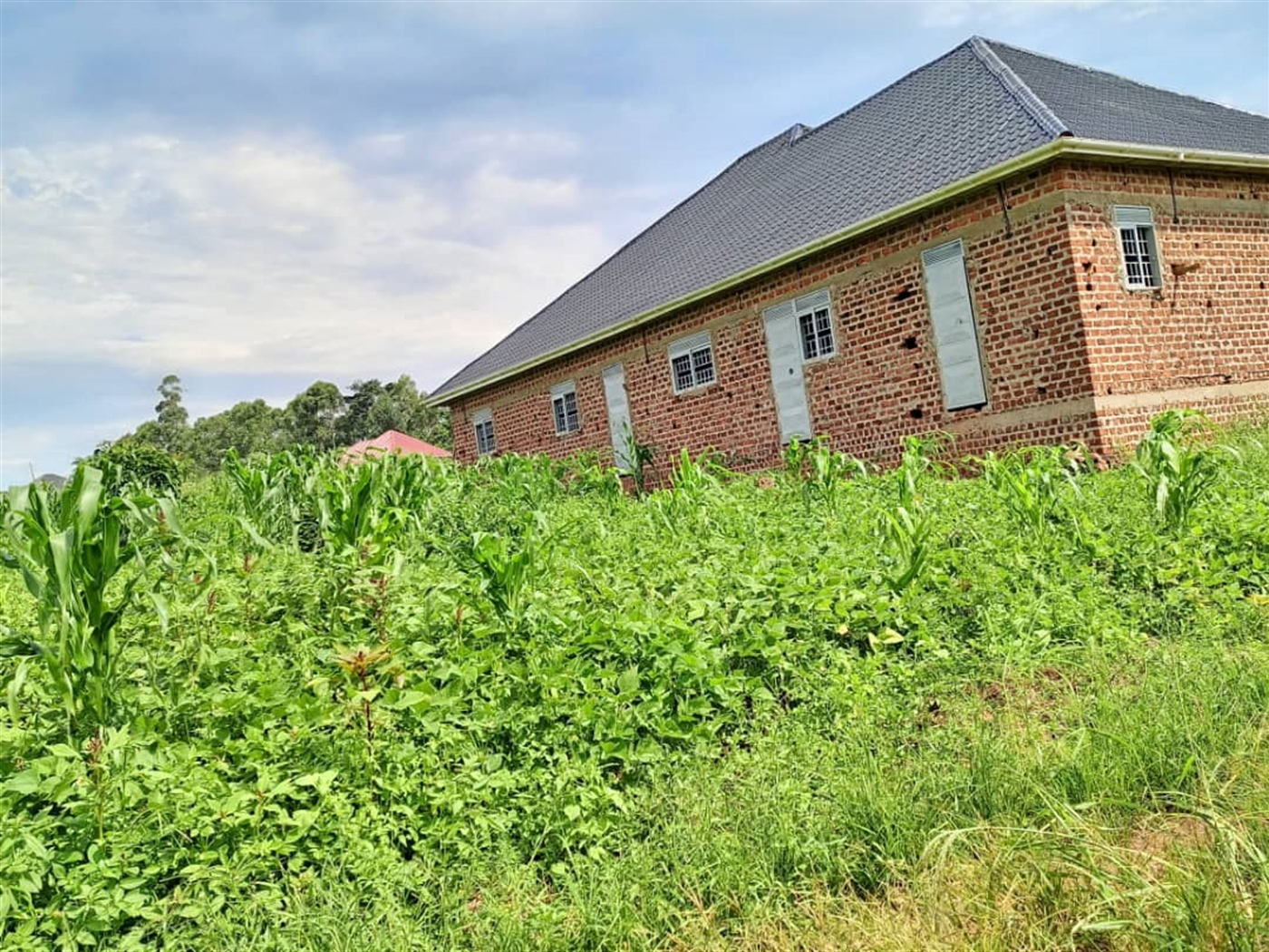 Residential Land for sale in Matugga Wakiso