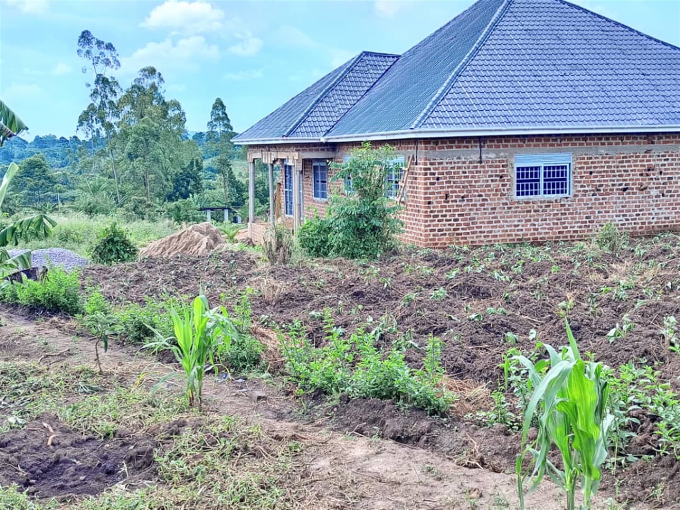 Residential Land for sale in Matugga Wakiso