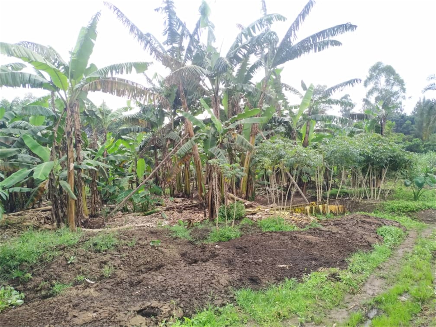 Residential Land for sale in Namugongo Wakiso