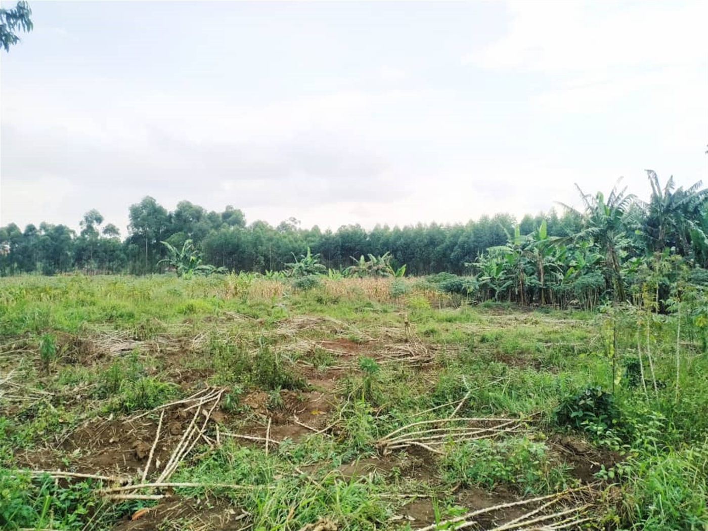 Residential Land for sale in Namugongo Wakiso