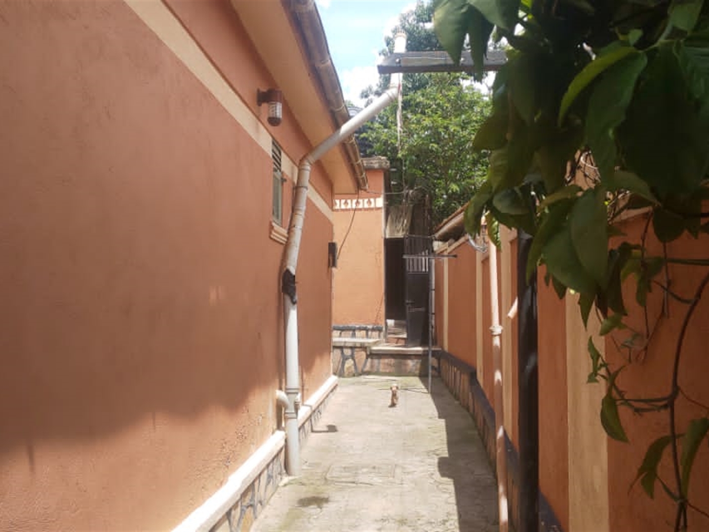 Bungalow for sale in Kawanda Wakiso