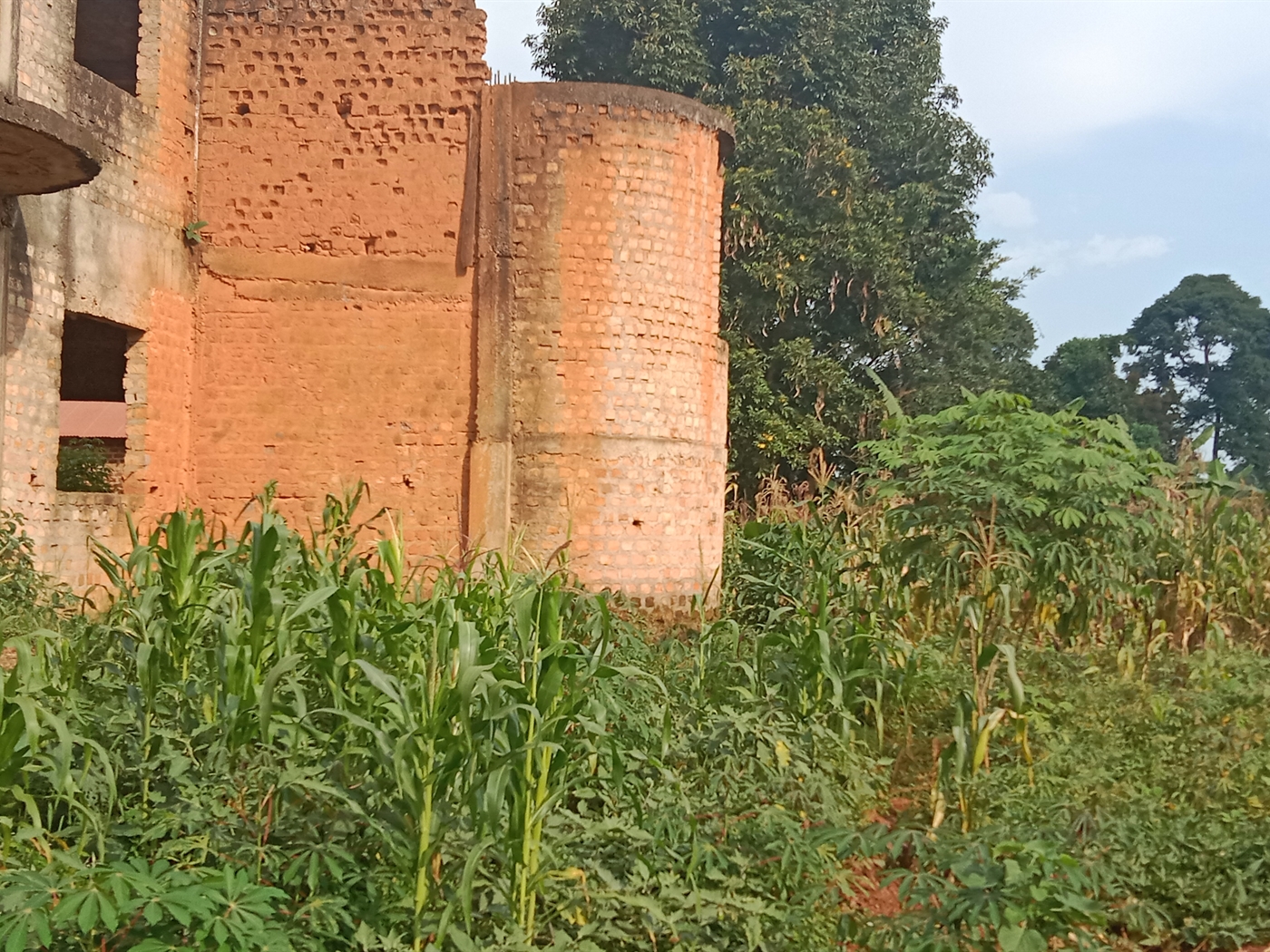 Residential Land for sale in Nkumba Wakiso