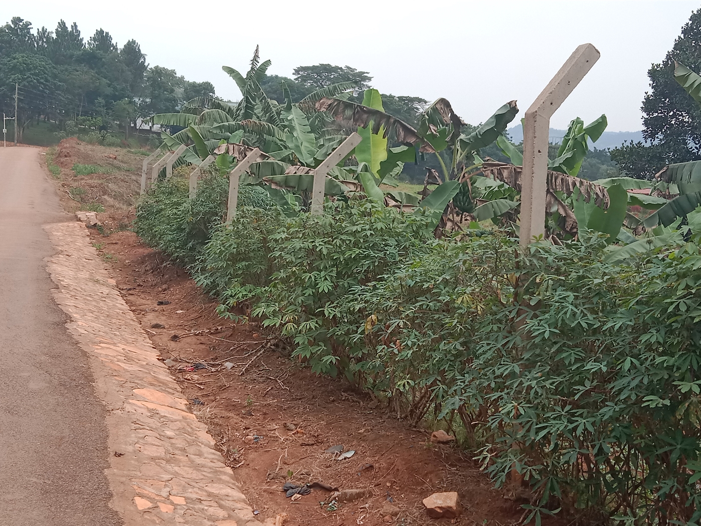 Residential Land for sale in Lubowa Wakiso