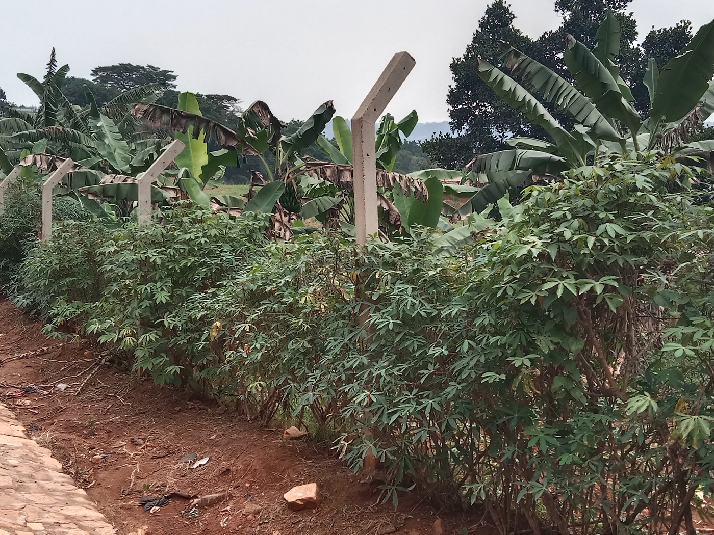 Residential Land for sale in Lubowa Wakiso