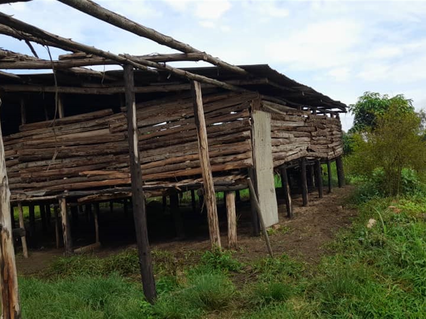 Agricultural Land for sale in Kikube Luweero