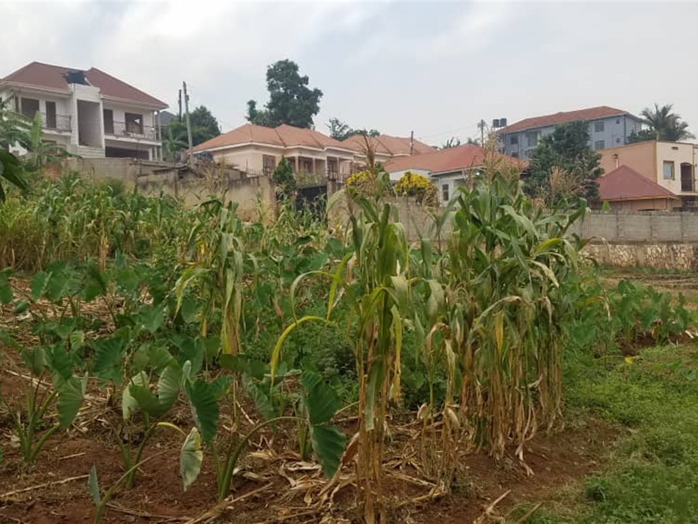 Residential Land for sale in Kisaasi Kampala