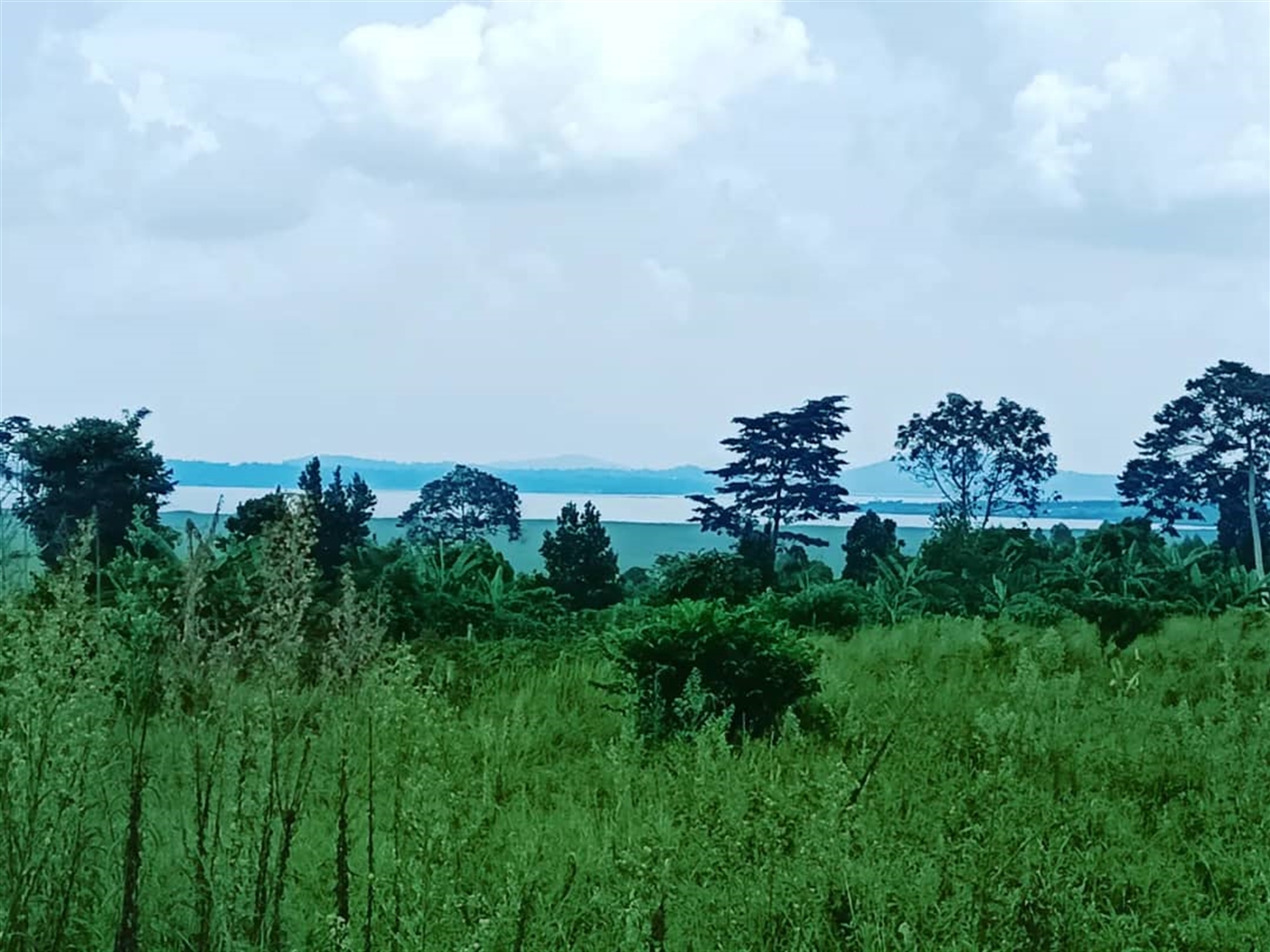 Residential Land for sale in Katosi Mukono