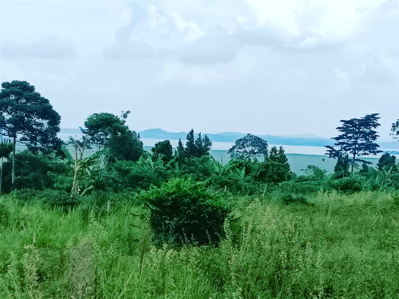 Residential Land for sale in Katosi Mukono