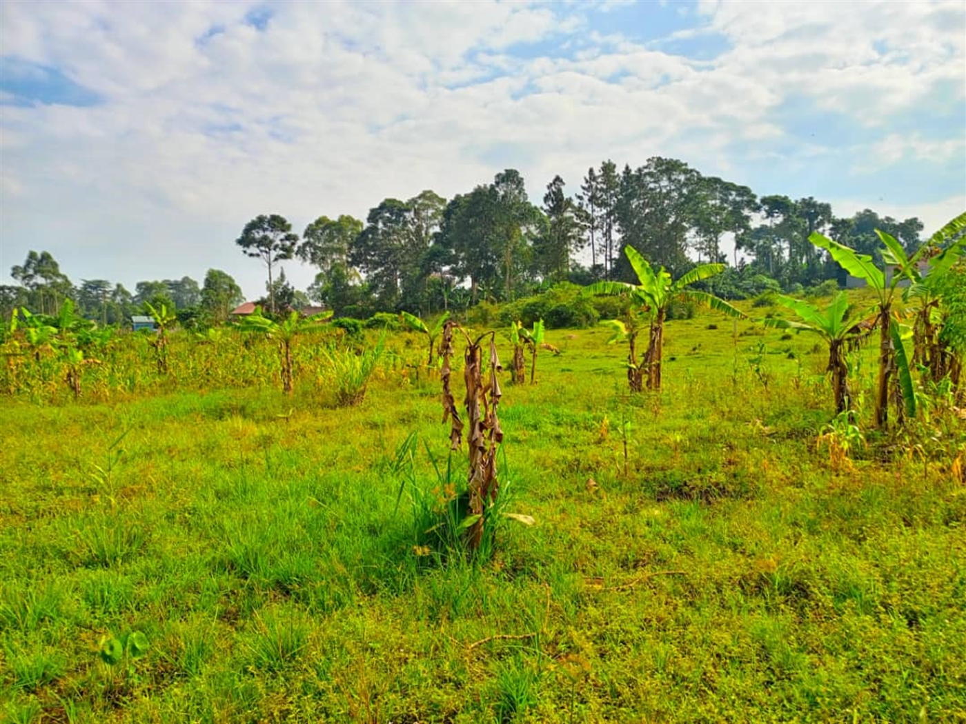 Residential Land for sale in Sonde Wakiso