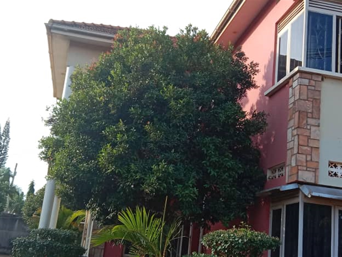 Apartment block for rent in Najjera Wakiso