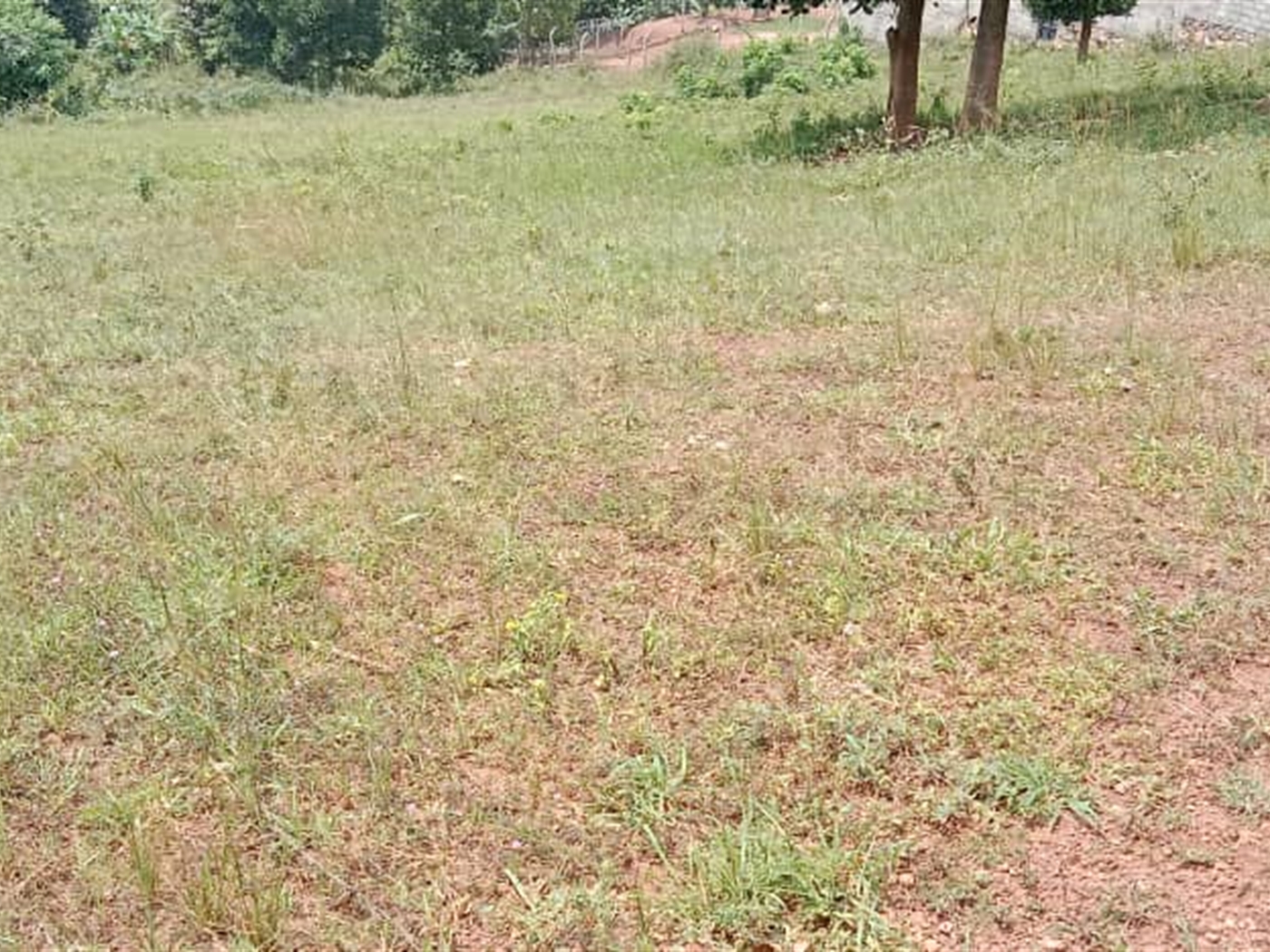 Residential Land for sale in Mutundwe Wakiso