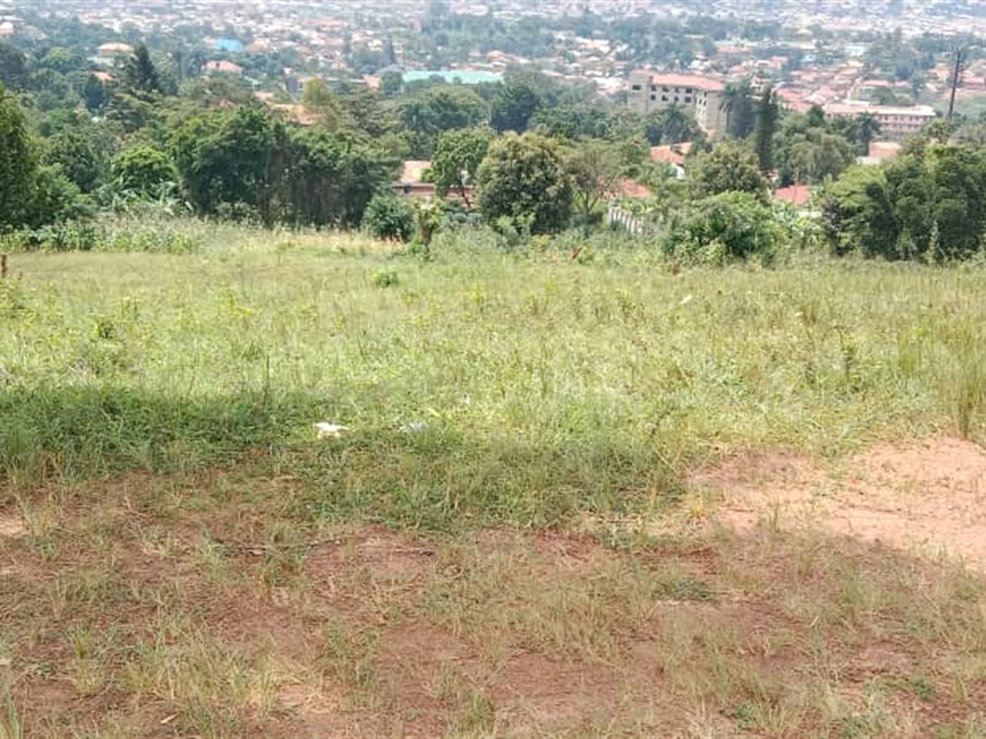 Residential Land for sale in Mutundwe Wakiso