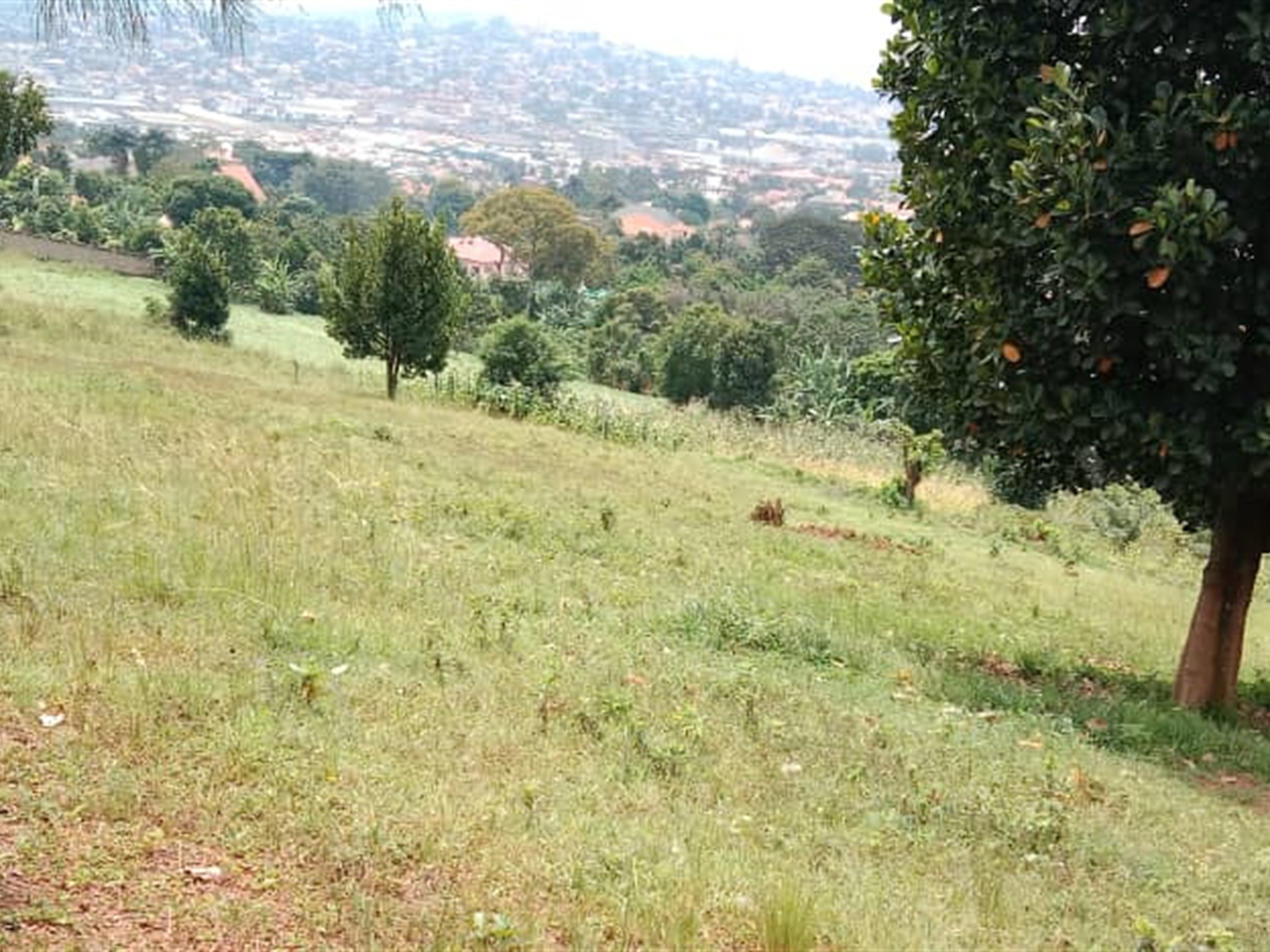 Residential Land for sale in Mutundwe Wakiso