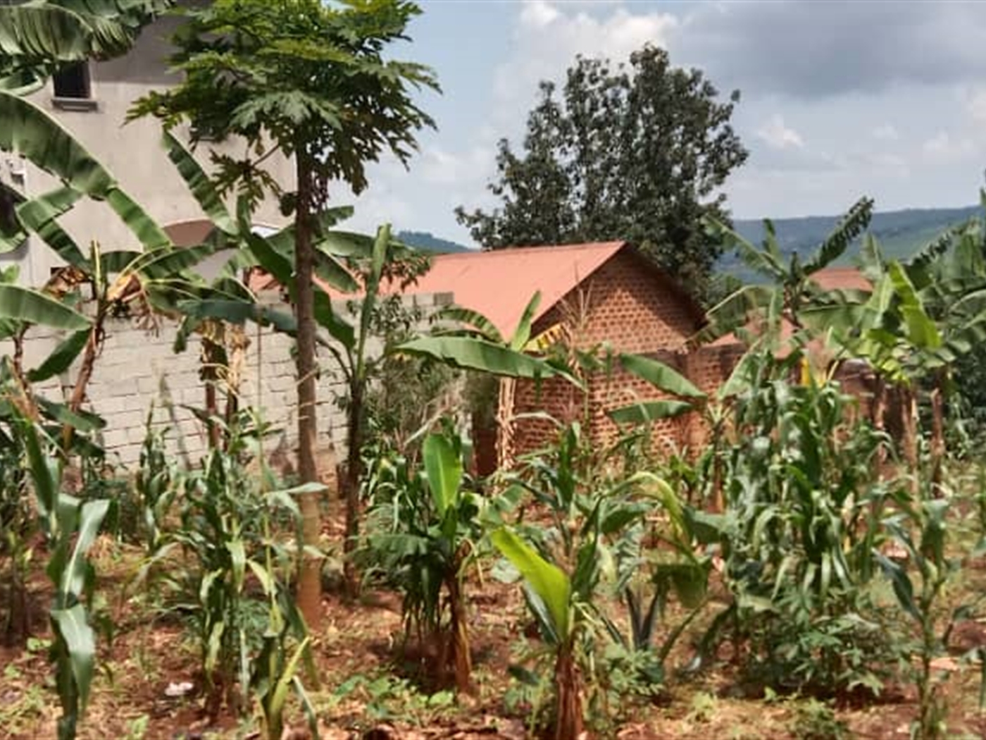 Residential Land for sale in Seguku Wakiso