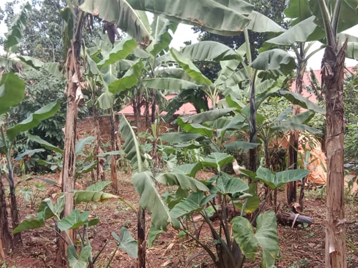 Residential Land for sale in Seguku Wakiso