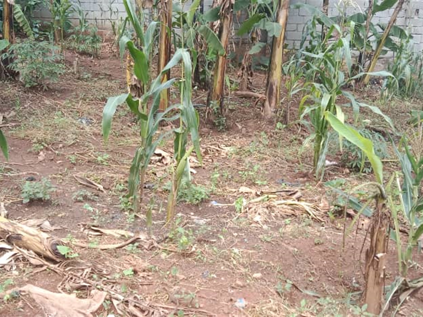 Residential Land for sale in Seguku Wakiso