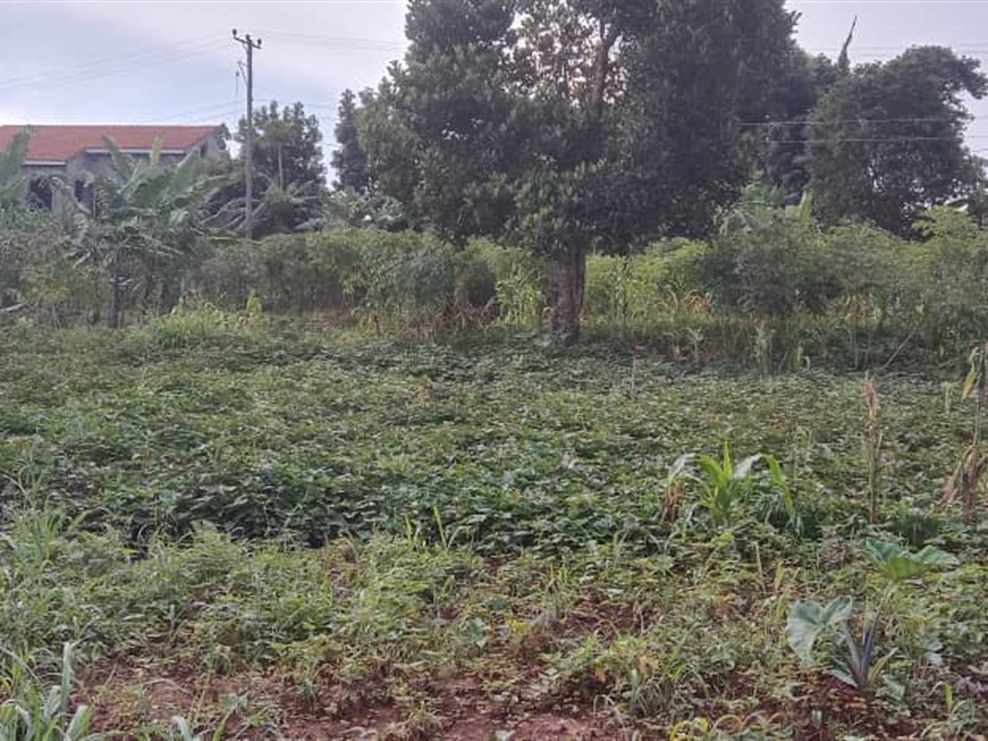 Residential Land for sale in Zana Wakiso