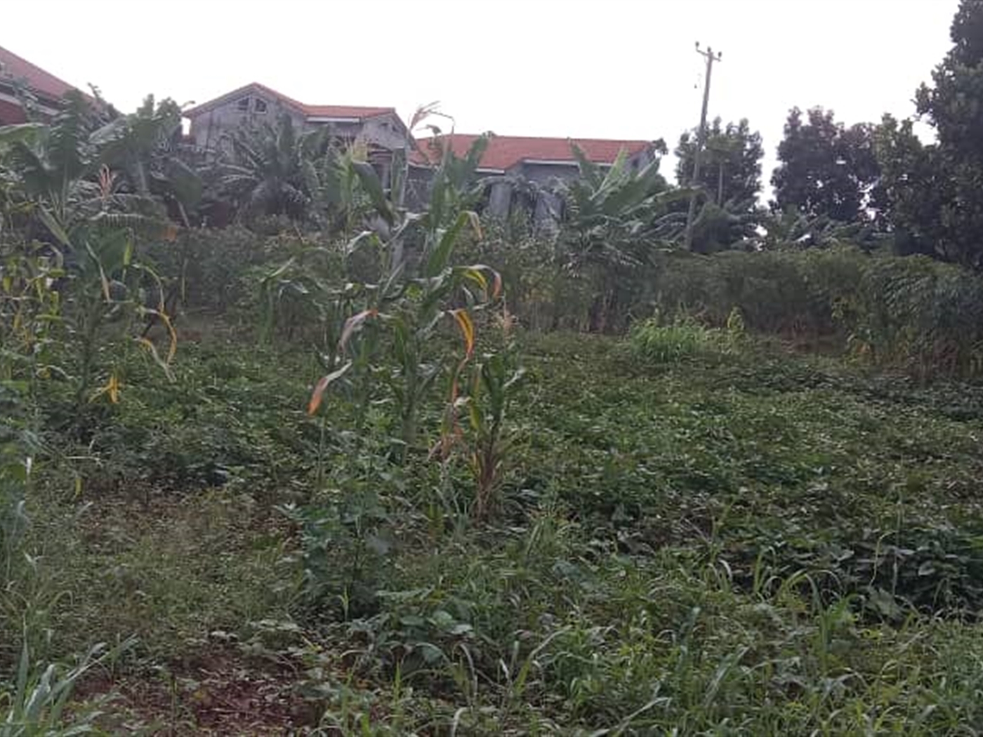 Residential Land for sale in Zana Wakiso