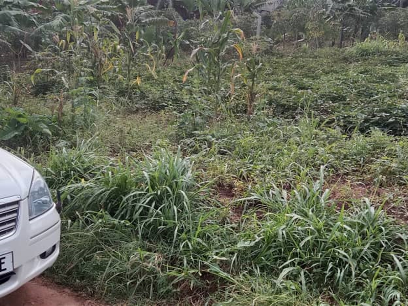 Residential Land for sale in Zana Wakiso