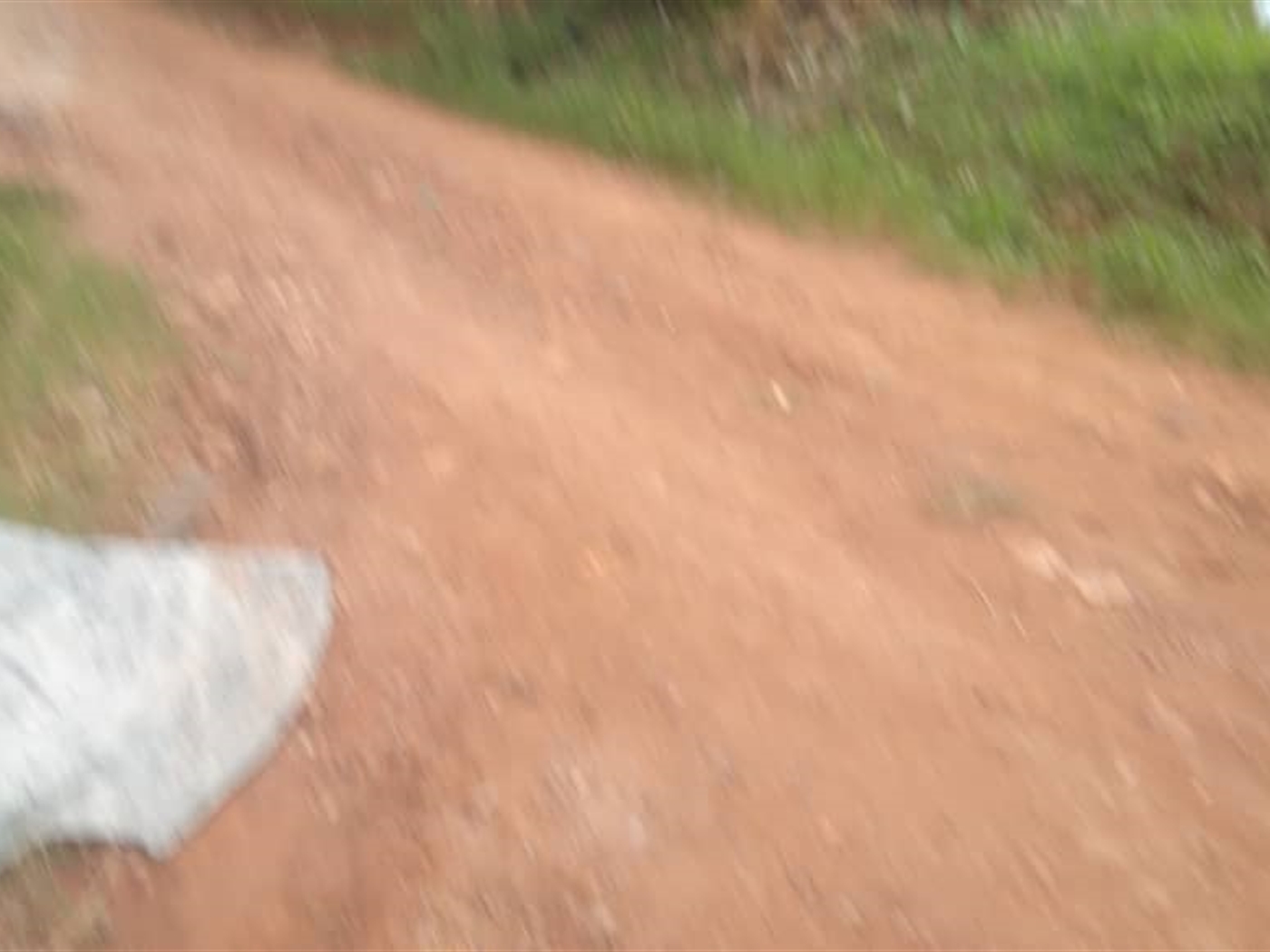 Residential Land for sale in Kira Wakiso