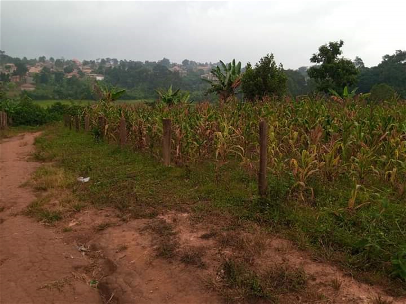 Residential Land for sale in Namugongo Wakiso