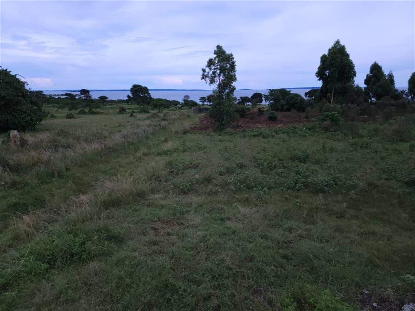 Residential Land for sale in Garuga Wakiso