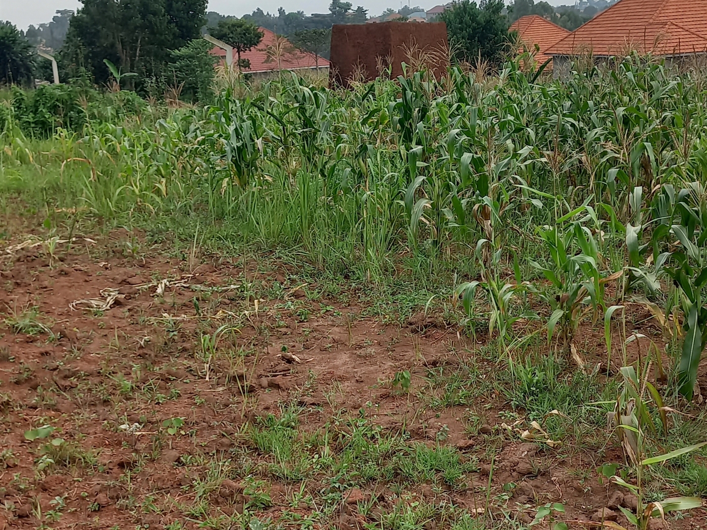 Residential Land for sale in Namugongo Wakiso