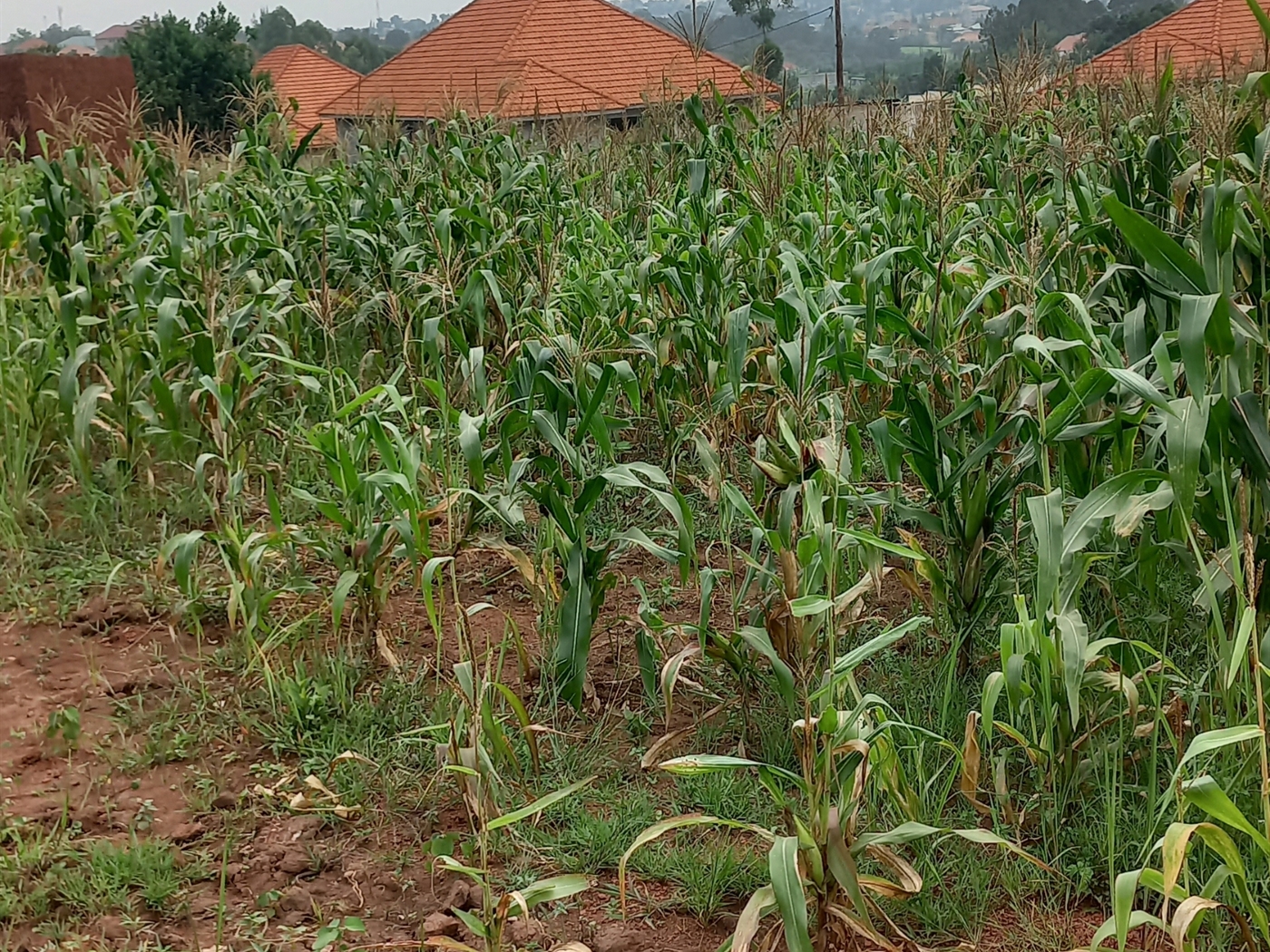 Residential Land for sale in Namugongo Wakiso