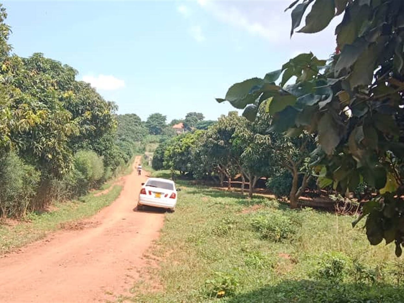 Residential Land for sale in Garuga Wakiso