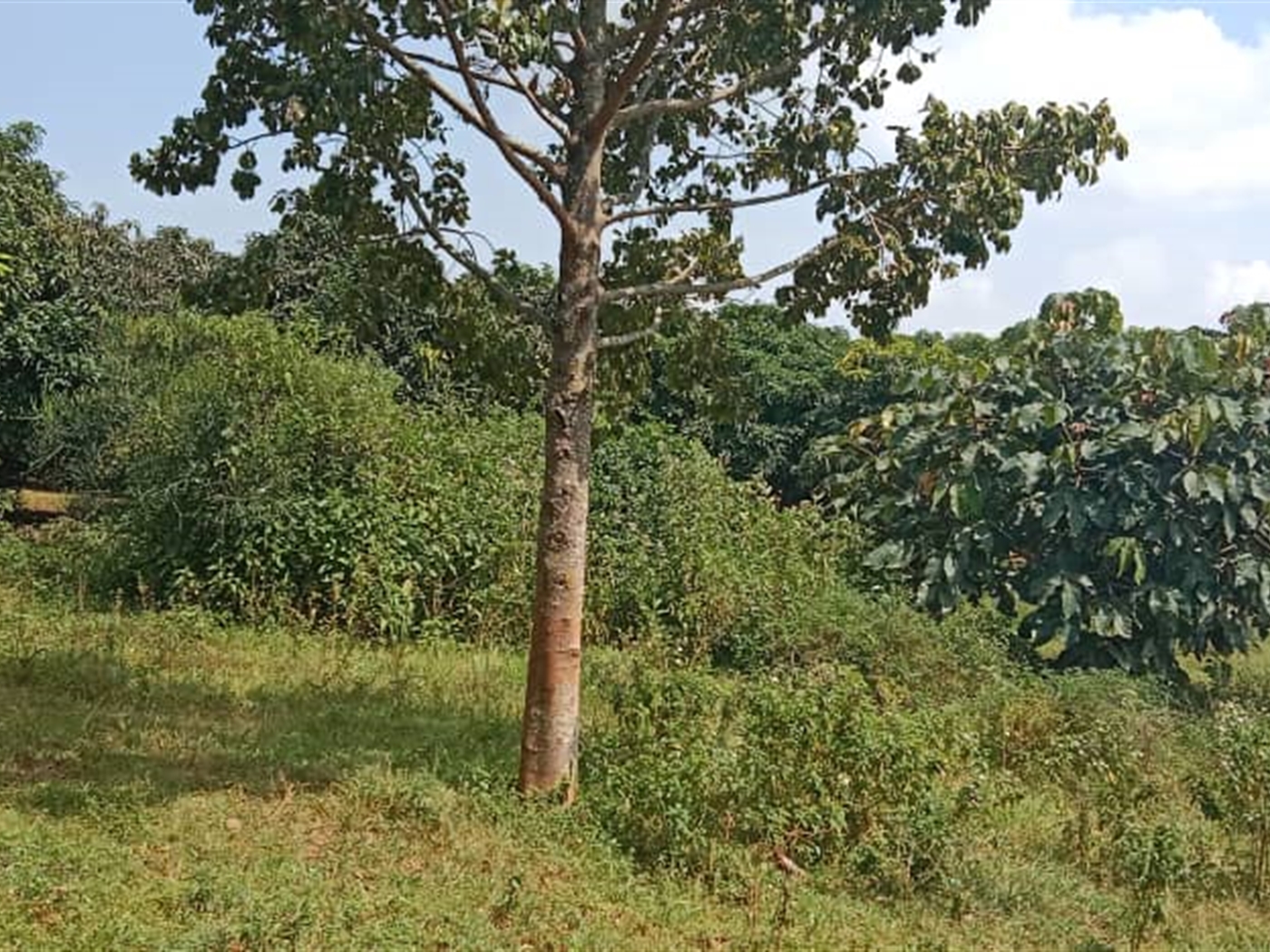 Residential Land for sale in Garuga Wakiso