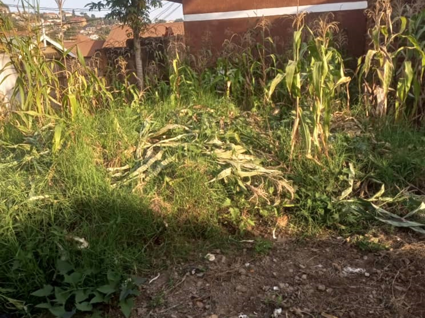 Residential Land for sale in Kisaasi Kampala