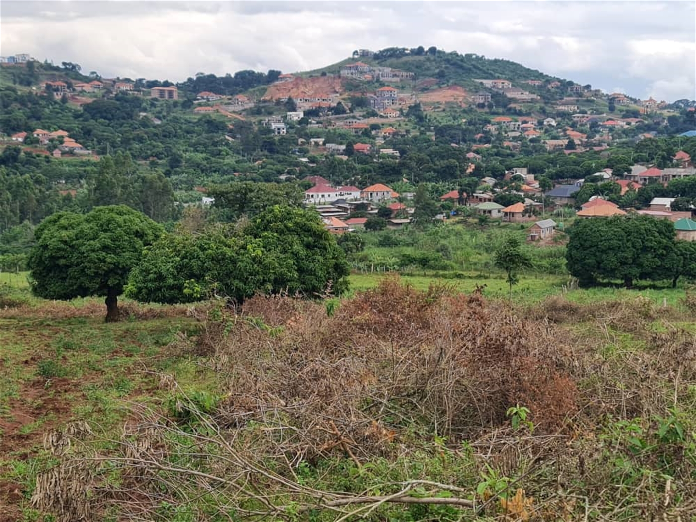 Residential Land for sale in Bweya Wakiso