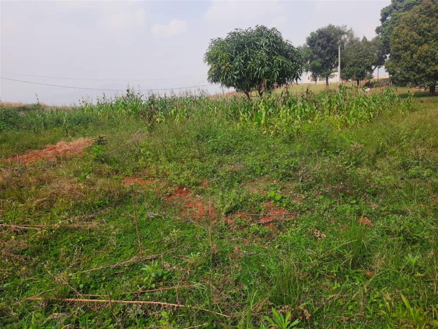 Residential Land for sale in Seguku Wakiso