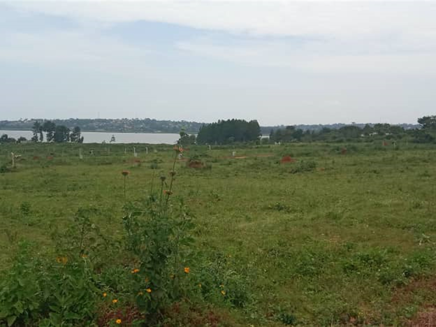 Residential Land for sale in Bwelenga Wakiso