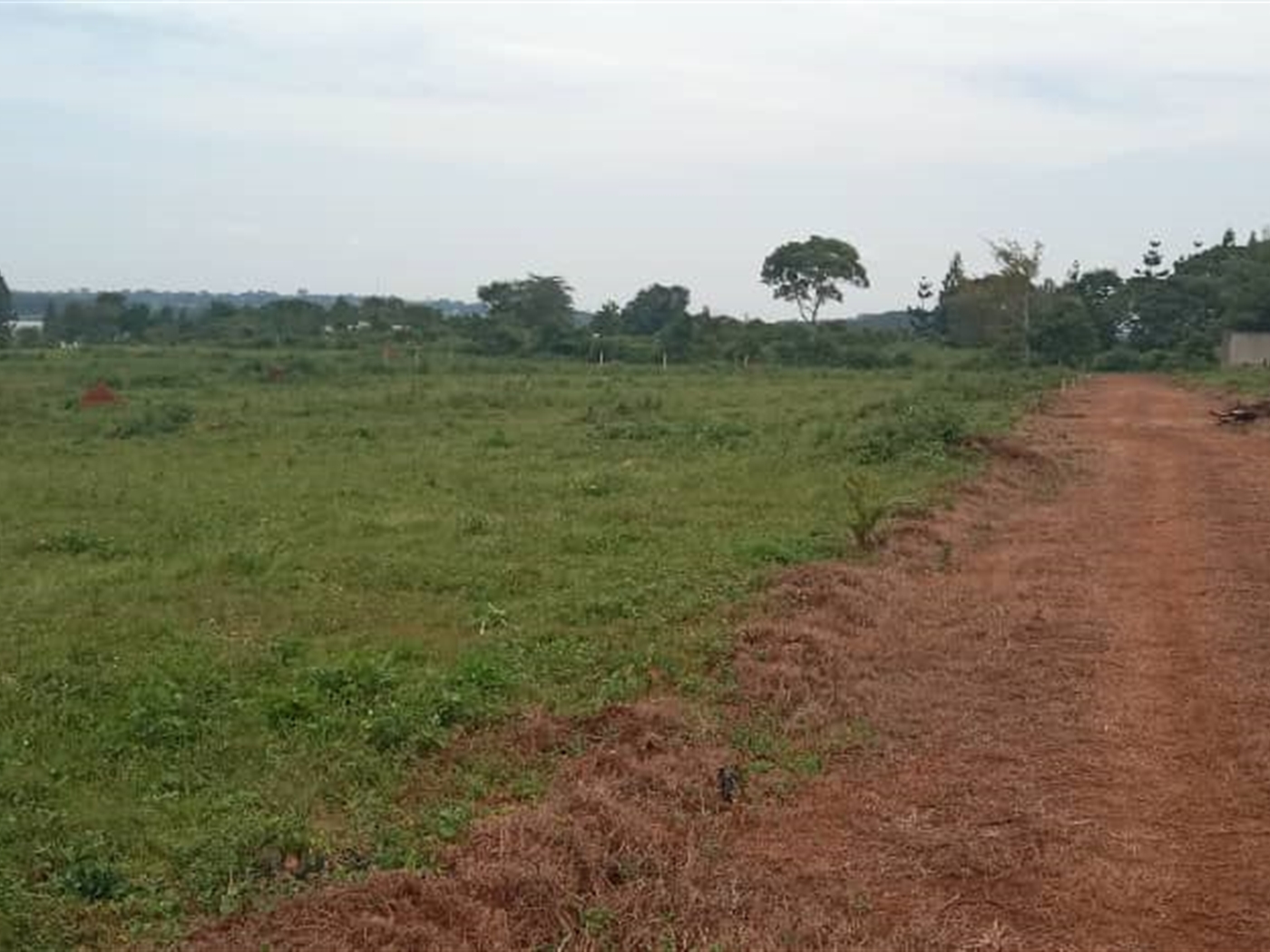 Residential Land for sale in Bwelenga Wakiso