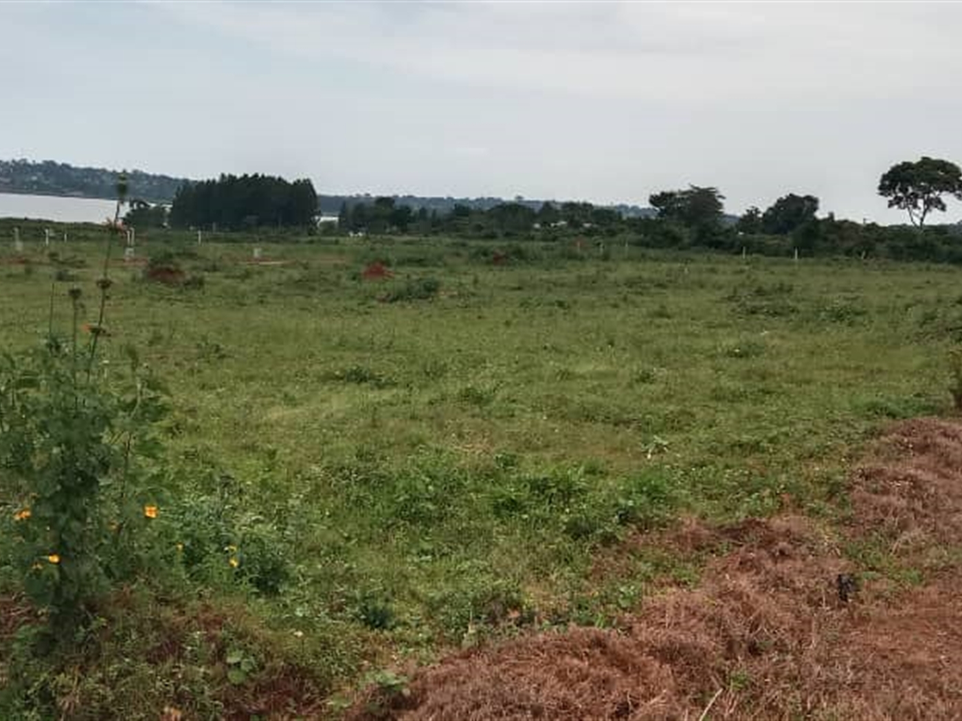 Residential Land for sale in Bwelenga Wakiso